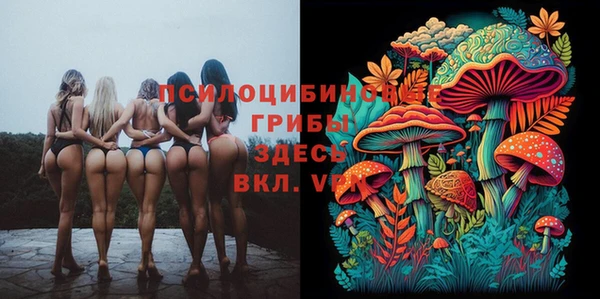 винт Козловка