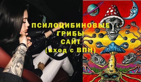 спиды Козельск